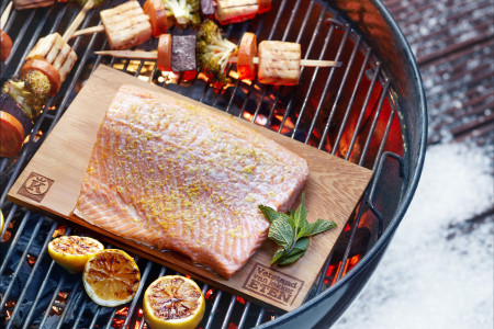 BBQ vis